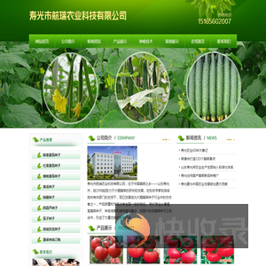 番茄种子