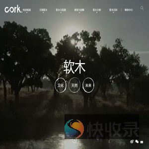 软木