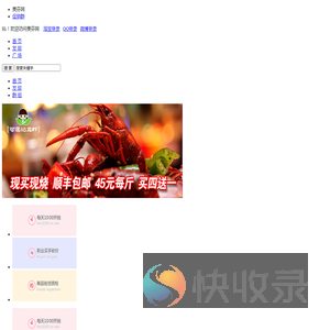 美芬网
