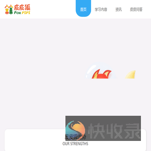 皮皮狐