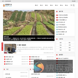 担惊受怕网
