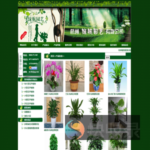 杭州植物租赁
