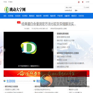 跳动大宁网