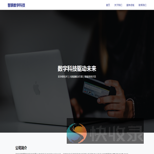 深圳市智眼数字科技