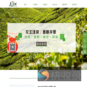 湖北龙王垭茶业