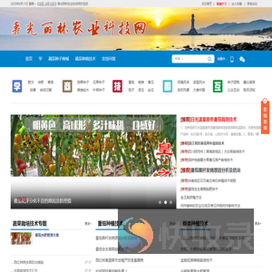 专业卖蔬菜种子的网站
