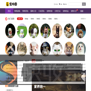 宠物吧