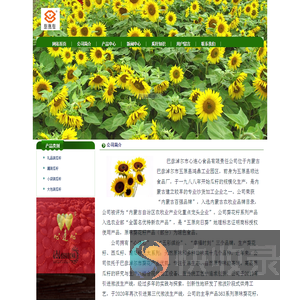 心连心瓜子