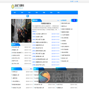 龙蛇飞舞网
