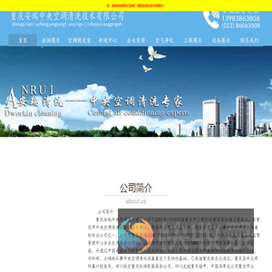 重庆安瑞中央空调清洗