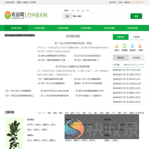 巴中苗木