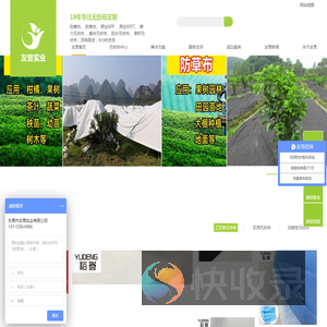 丽新布
