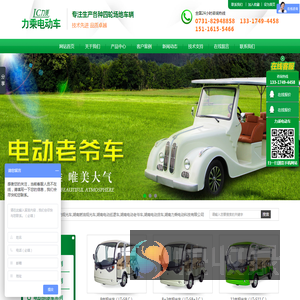 湖南电动观光车