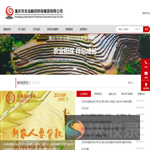 重庆市农业融资担保集团有限公司