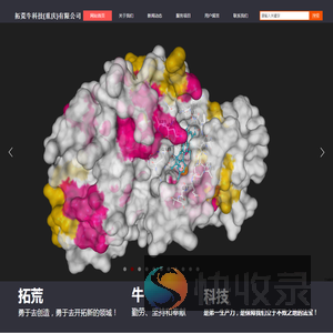 拓荒牛科技