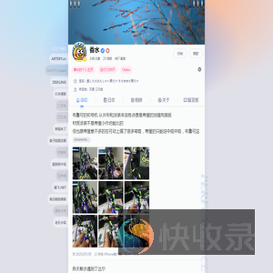 香水的个人主页