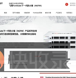 Fortinet防火墙代理