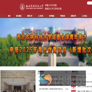 党委人才工作部