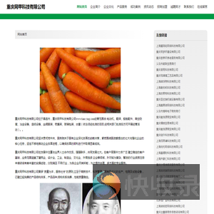 重庆网甲科技有限公司