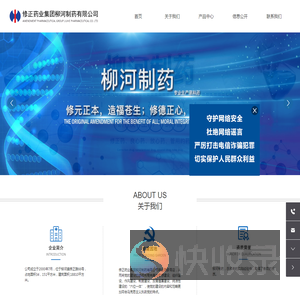修正药业集团柳河制药有限公司