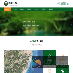 中雁石斛技术股份有限公司