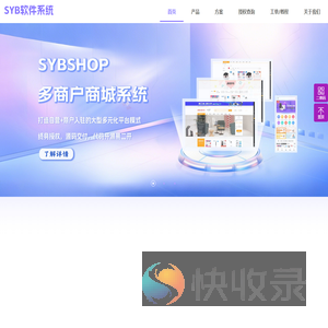 syb软件系统