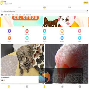 友猫