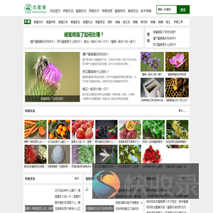优蜜蜂