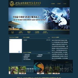 北京正诚腾骏国际贸易有限公司