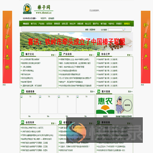 榛子网