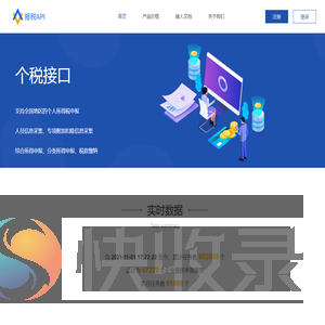 报税API