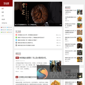 白桦茸