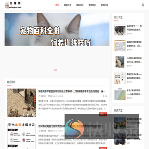 宠猫网