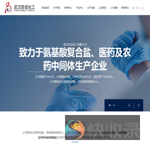 武汉圣佳化工有限公司