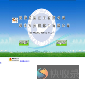 甲基丙烯酸二甲氨基乙酯