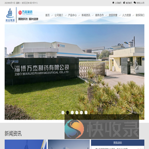 岜山集团