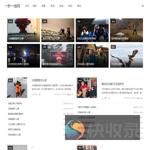 一针一线网
