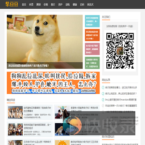 柴犬