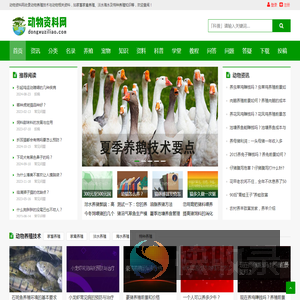 动物资料网