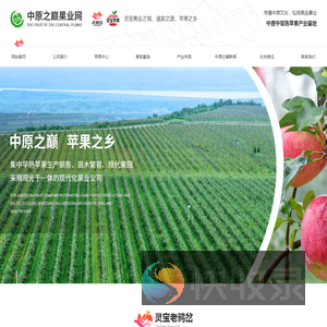河南华硕苹果批发