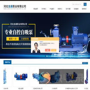河北龙通泵业有限公司