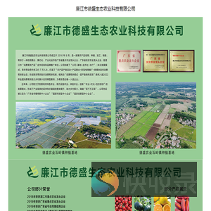 首页