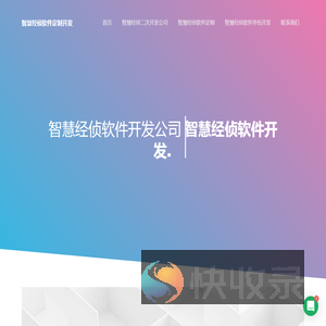 智慧经侦软件定制开发