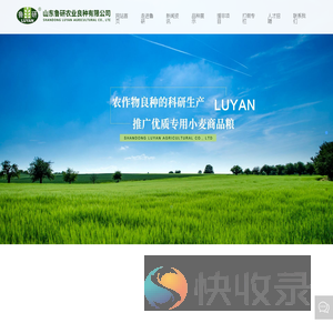 山东鲁研农业良种有限公司