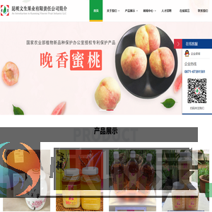 昆明文生果业有限责任公司