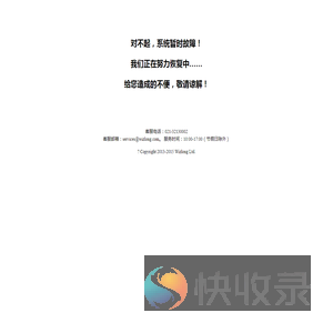 系统故障
