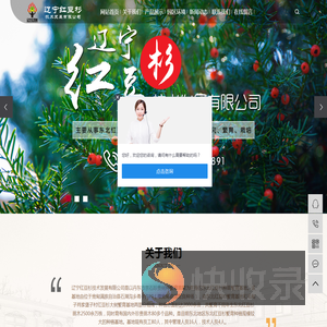 东北红豆杉