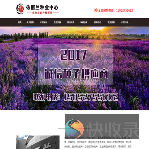 花卉种子