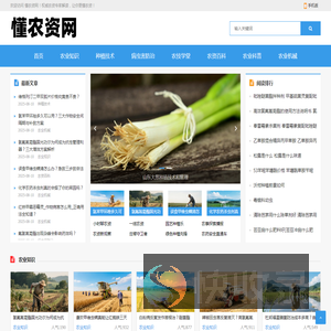 懂农资网