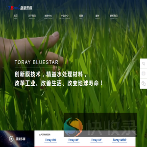 蓝星东丽